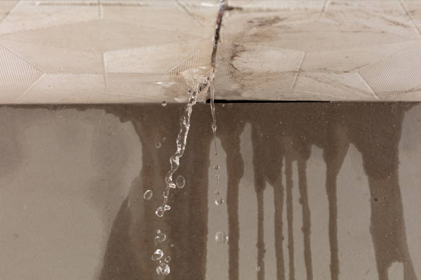 Professional Water Damage Inspection technician working in Cedar Park, TX